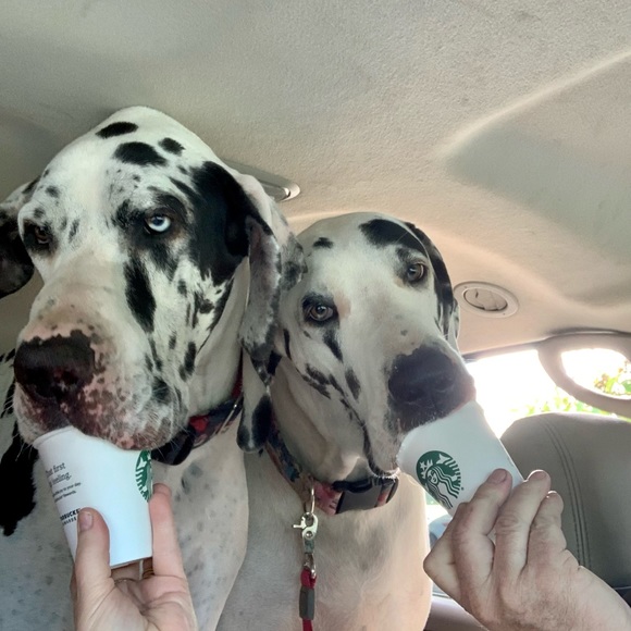 Meet your Posher, Denise - Picture 7 of 16